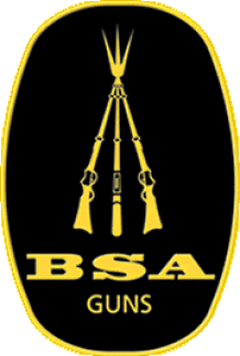 BSA
