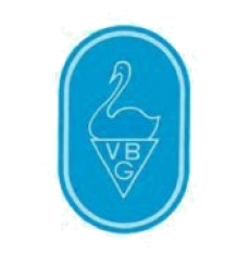 V. Bernardelli