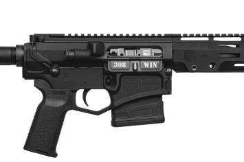 Diamondback_AR-10